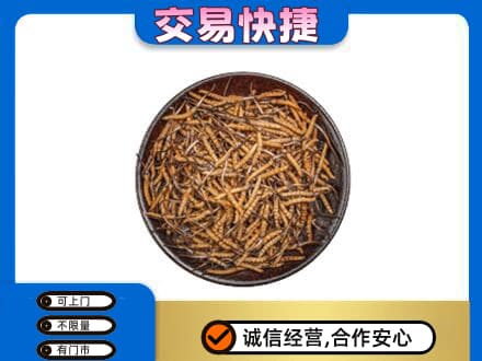 阳东区高价回收散虫草